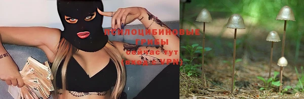 эйфоретик Аркадак