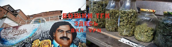 эйфоретик Аркадак