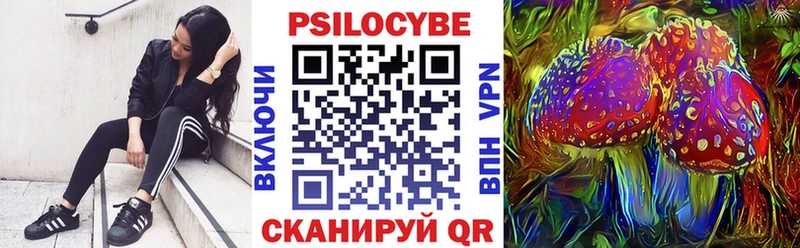 Галлюциногенные грибы GOLDEN TEACHER  где найти   Николаевск 