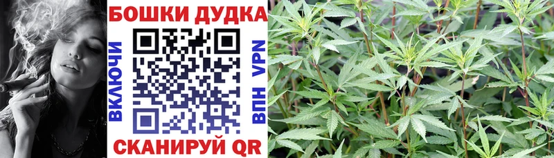 продажа наркотиков  KRAKEN как зайти  Бошки Шишки марихуана  Николаевск 